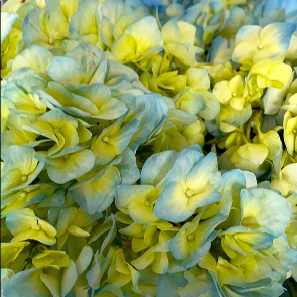 Meet your Posher, Mehak - Picture 1 of 1